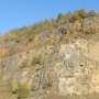 Mergelige Steinbruch-Horizonte aus jüngeren Zeitaltern